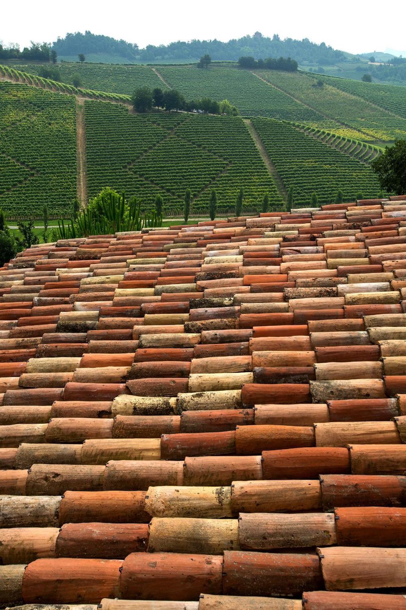Relais Di Tenuta Santa Caterina B&B Grazzano Badoglio Quarto foto