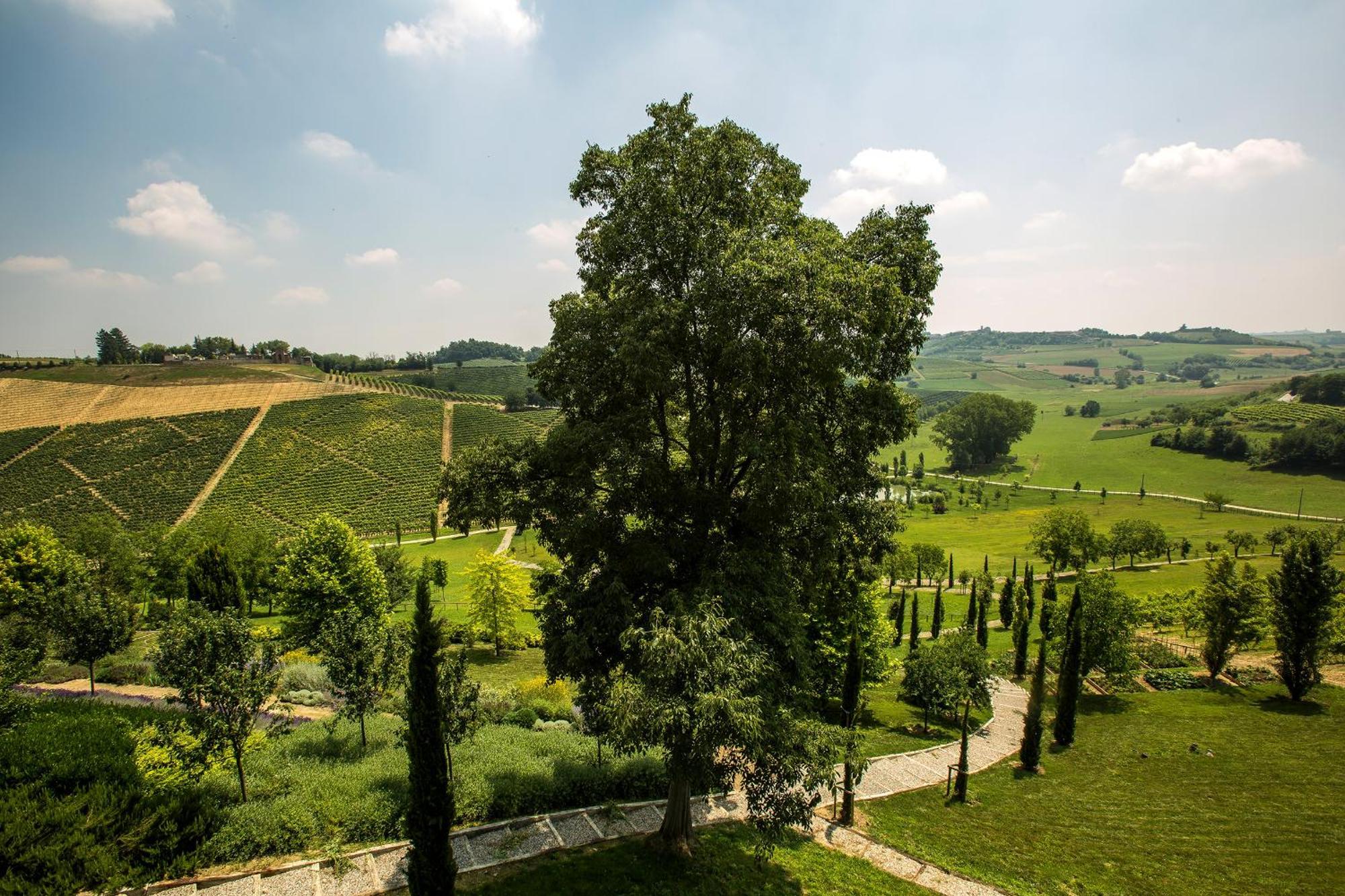 Relais Di Tenuta Santa Caterina B&B Grazzano Badoglio Quarto foto