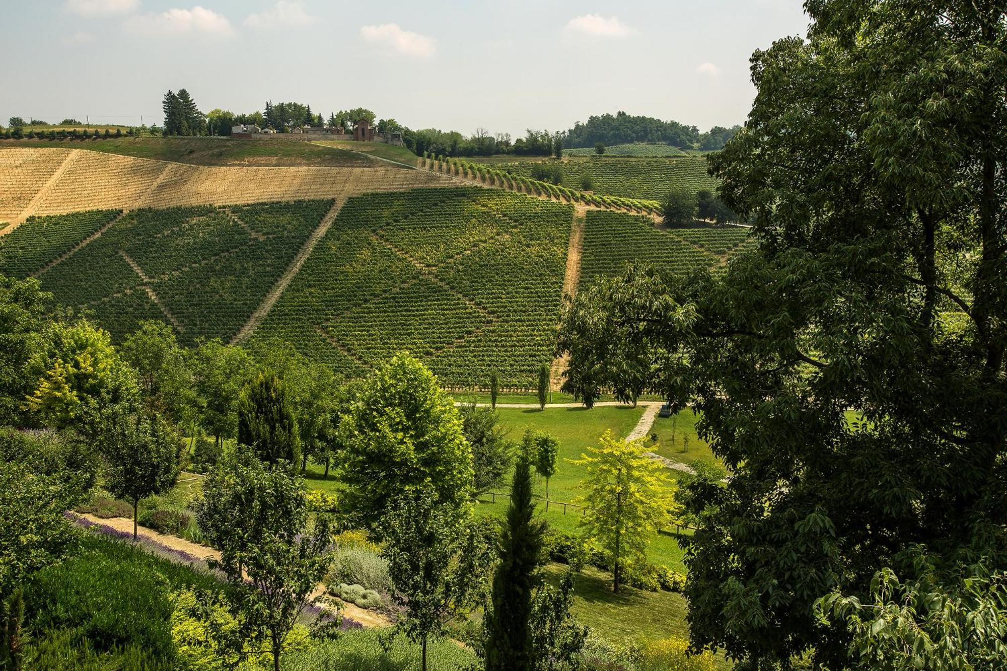 Relais Di Tenuta Santa Caterina B&B Grazzano Badoglio Quarto foto